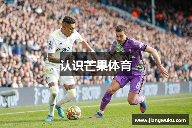 芒果体育-最权威热门的全球体育赛事直播平台